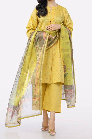 WD0300LIMERS2990 01